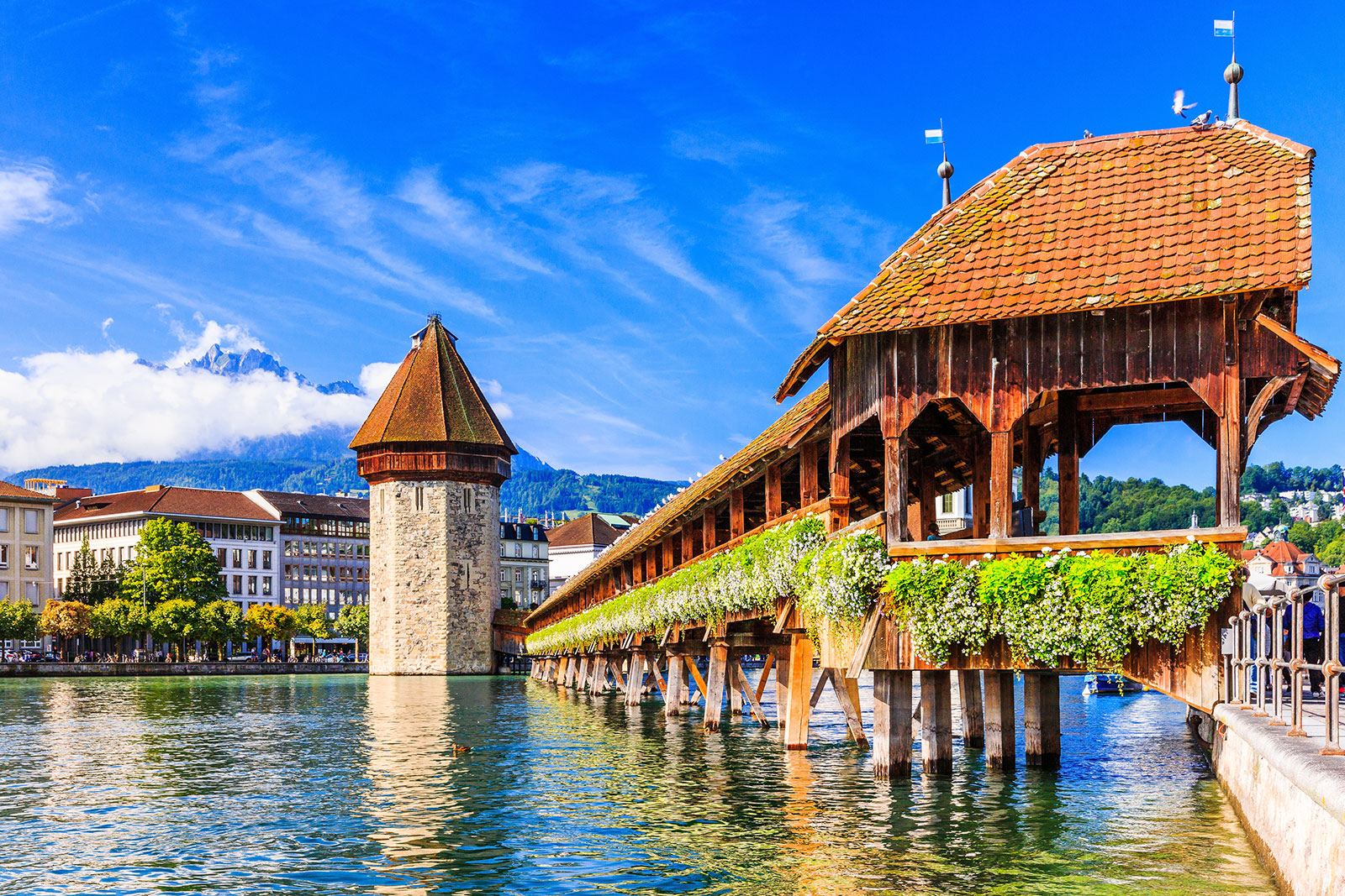 Buchhalter Luzern