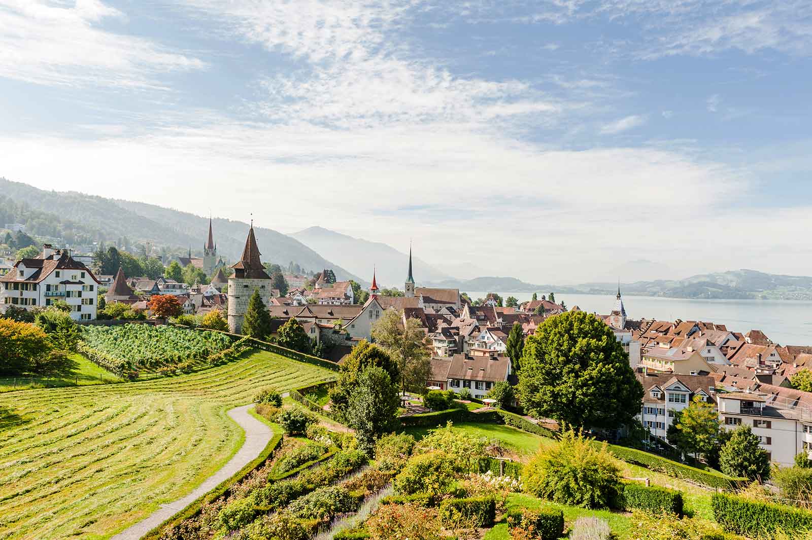 Buchhalter Zug